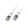 Cordon cat 6 FTP gris 1M