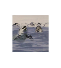 Carrelage mural marina blue 30x60cm HL-01A+HL01B