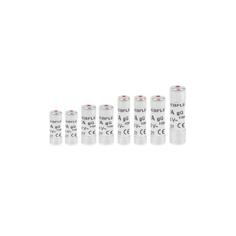 Lot de 8 fusibles céramique 10-16-20-25-32 A