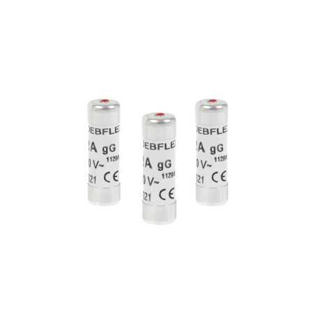 Lot de 3 fusibles céramique 25 A 10.3 X 31.5 Mm