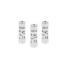 Lot de 3 fusibles céramique 25 A 10.3 X 31.5 Mm