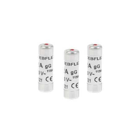 Lot de 3 fusibles céramique 20 A 10.3 X 31.5 Mm