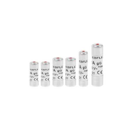 Lot de 6 fusibles céramique 10-16-20-32 A