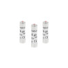 Lot de 3 fusibles céramique 16 A 8.5 X 31.5 Mm
