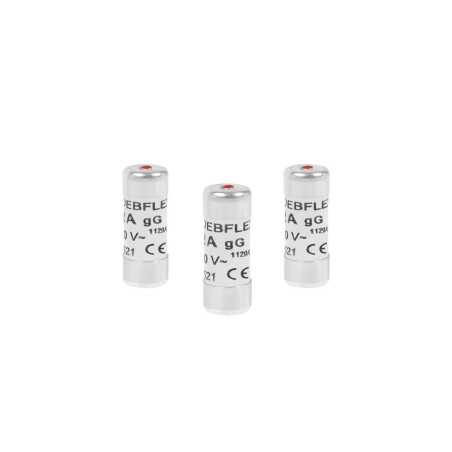 Lot de 3 fusibles céramique 10 A 10.3 X 25.8 Mm