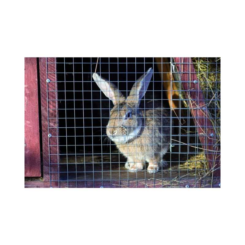 Grillage pour animaux soudé Gris H.0.5 X L.3 M Maille H.19 X L.19 Mm