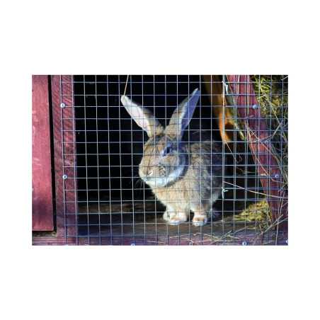 Grillage pour animaux soudé Gris H.0.5 X L.3 M Maille H.19 X L.19 Mm