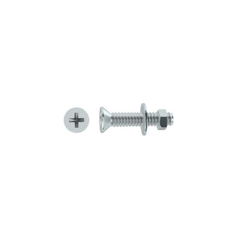 Lot de 25 boulons tête autofraisée plate acier zingué L.15 X Diam.4 Mm Standers