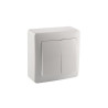 Double interrupteur va et vient saillie surface blanc