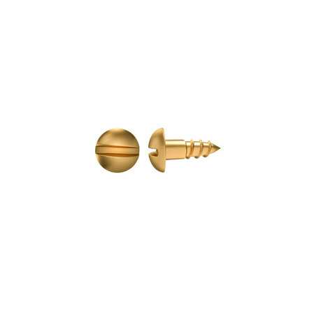Lot de 30 vis laiton tête ronde diam.2.5 mm X L.16 mm