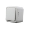 Poussoir auto trail gris