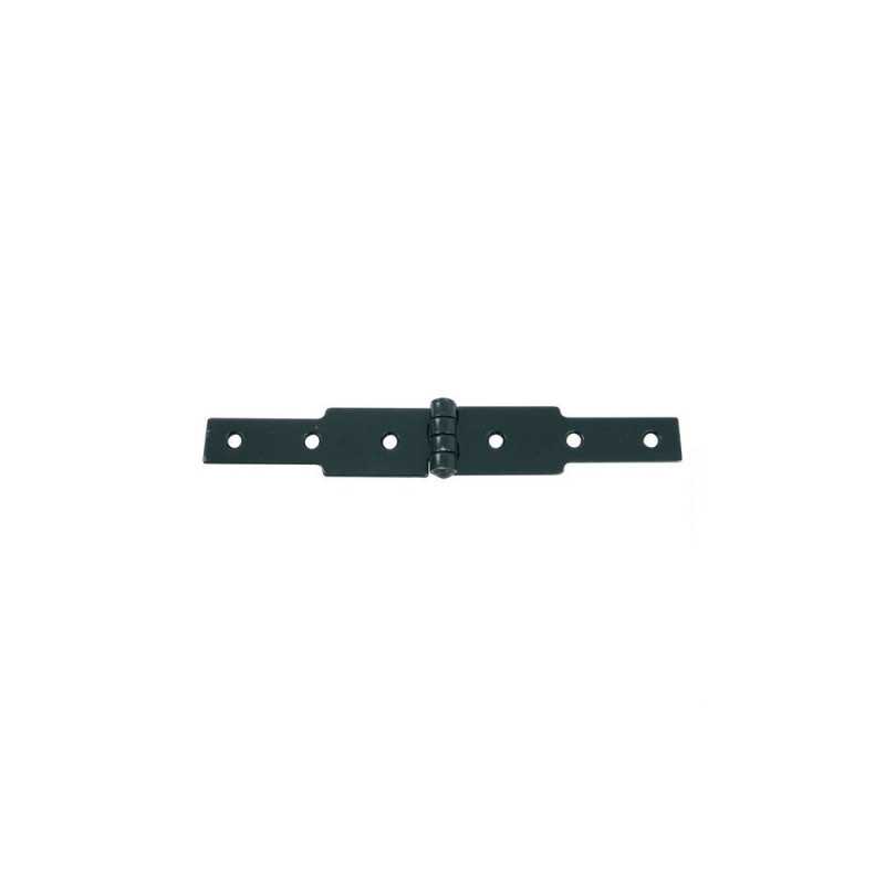 Clou Tp 2.2X45 Ac Poli S45