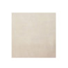 Carrelage sol 60X60cm A06RZKNA-IV0.G0R