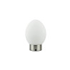 Lampe DOVE 230LM 3000K H24 métal NICKEl en verre gris