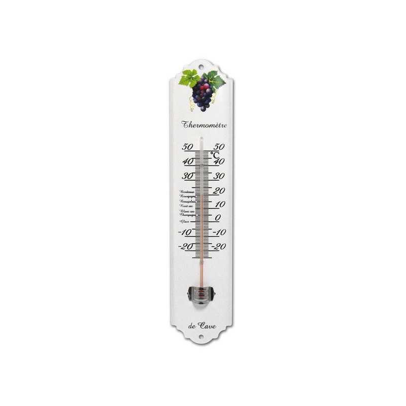 Thermomètre Intérieur Ou Extérieur Inovalley 7100