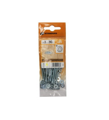 Lot de 25 boulons tête autofraisée plate acier zingué L.30 X Diam.3 Mm