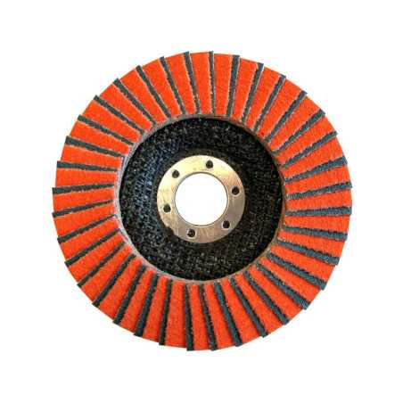 Disque à lamelle Fibre Expert Diametre 125X22 Grain 60