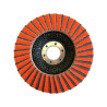 Disque à lamelle Fibre Expert Diametre 125X22 Grain 60