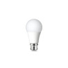 Ampoule led B22 1521lm 100W blanc neutre