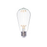 Ampoule led décorativeedison e27 500lm blanc chaud