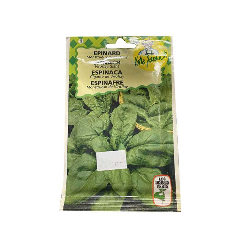 Semence epinard monstrueux de viroflay 12g -  - meilleure qualité