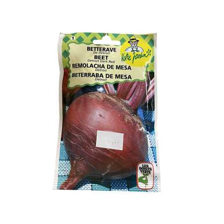 Semence betterave de détroit sht de 10g -  - meilleure qualité