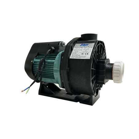 Pompe pour SpaPR30 22KW 315M3-H