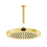 Bras de douche plafond 500mm+pommeau rond doré 80214+209 | Sanifer