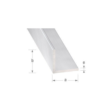 Cornière égale 20mm 2M alu anodisé | Sanifer