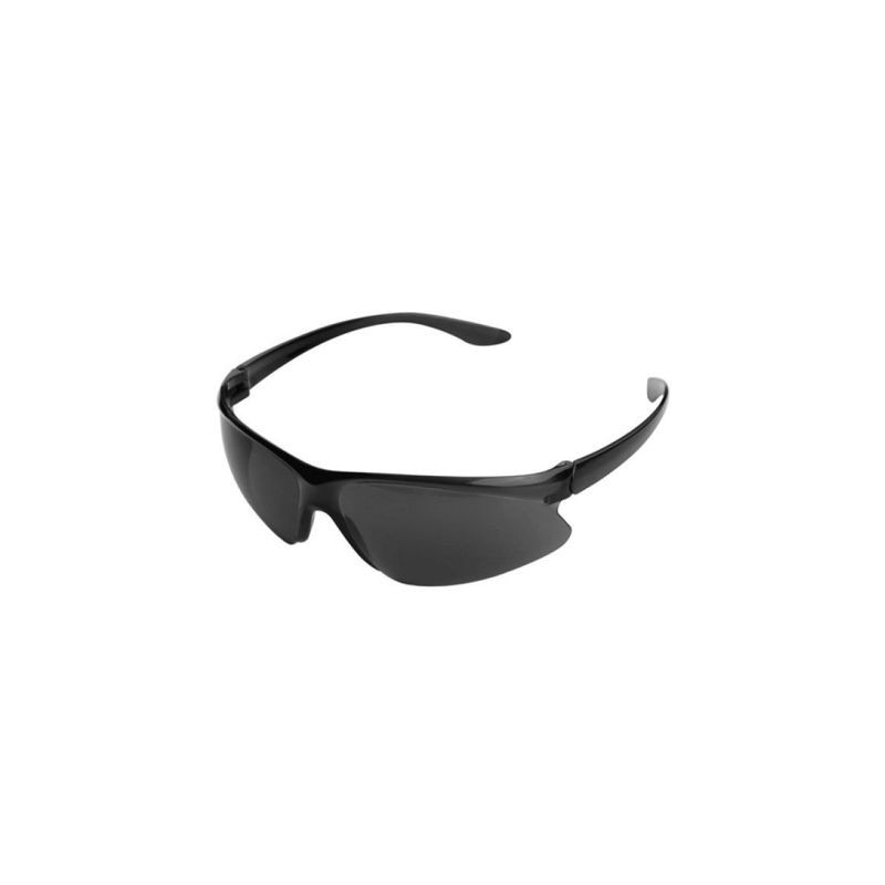 Lunette de sécurité teinte noir  worksite | Sanifer