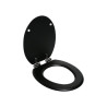 Abattant  design noir mat Bemis|Sanifer Tamatave