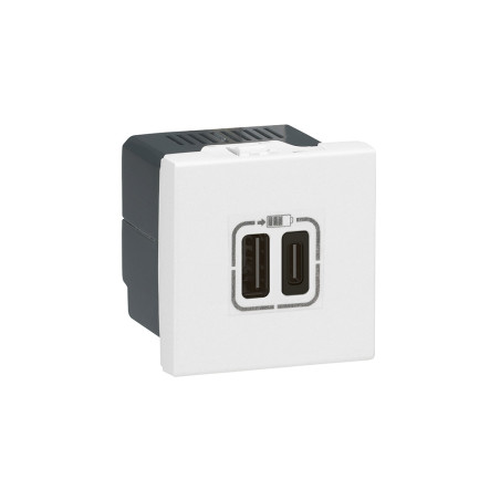 Chargeur USB Type A + USB Type C 3A 5V Mosaic 2 modules- Sanifer