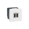 Chargeur USB Type A + USB Type C 3A 5V Mosaic 2 modules- Sanifer