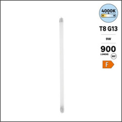 Tube LED T8 59 cm 900 lumens 4000 K - Sanifer