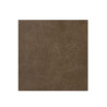 Carrelage sol 30x30 cm A00GLOTS-BR0.M0U finition mate GP - Sanifer