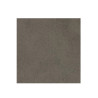 Carrelage sol 30x30 cm A00GZSUR-GE0.M0R finition mate GP - Sanifer