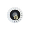 Spot rond blanc/noir Ø 110 mm GU10 220 V - Sanifer