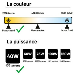 Ampoule LED Edison verre e27 3,4w 470lm claire 2700k  - Sanifer