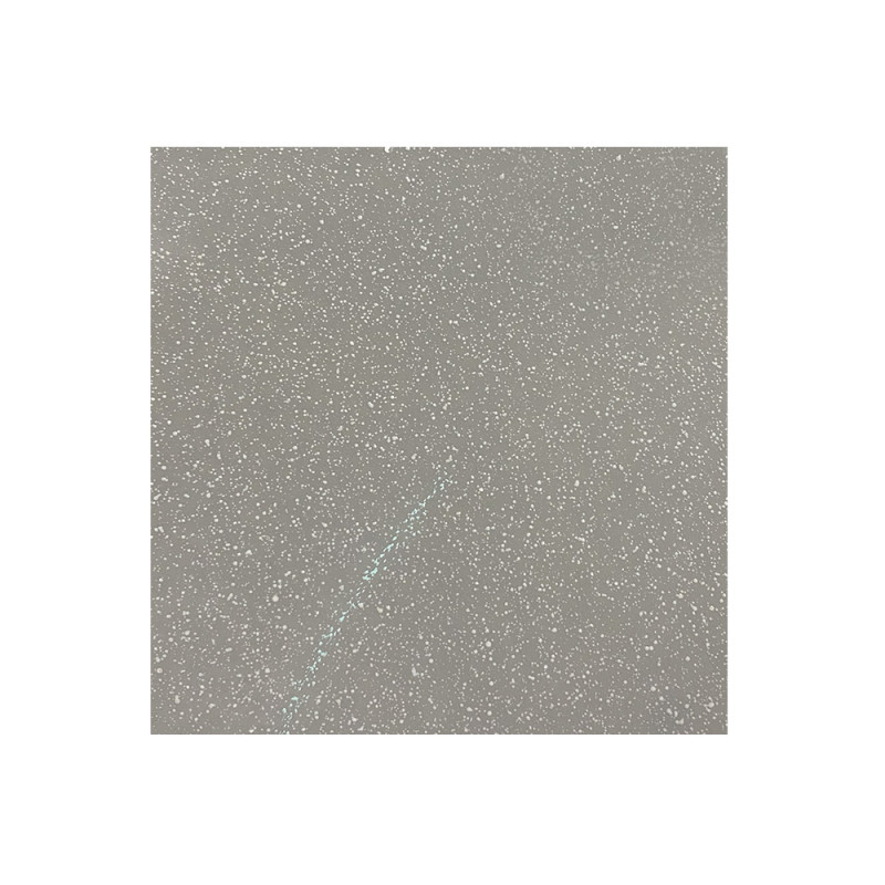 Carrelage sol 30x30 cm antidérapant gris série AS-Grey - Sanifer