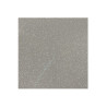 Carrelage sol 30x30 cm antidérapant gris série AS-Grey - Sanifer