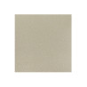 Carrelage sol 30x30 cm antidérapant ivoire série AS-Ivory - Sanifer