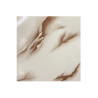 Carrelage sol 30x30 cm ivoire brillant série N-403 - Sanifer