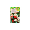 Fleur balsamine dble n. fleur camelia 1.50g | Sanifer