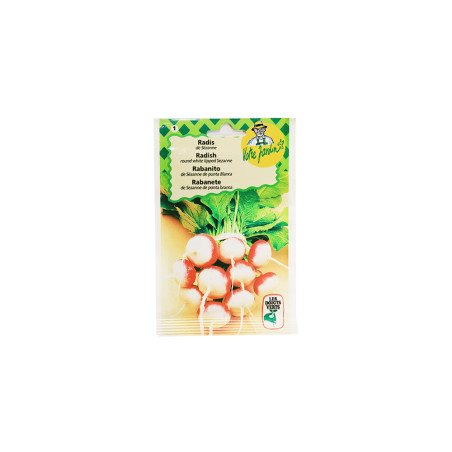 Semence radis de sezanne 12g | Sanifer