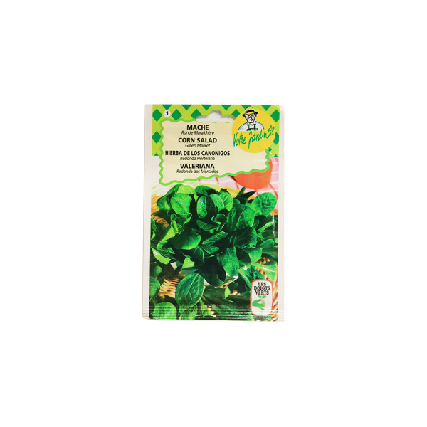 Semence mache ronde maraîchère 5g | Sanifer