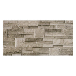 Carrelage mural 30x60cm CARPI-09 CE MATT