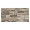 Carrelage mural 30x60cm CARPI-09 CE MATT|Sanifer