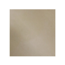 Carrelage sol 60x60cm B06GRDIL-IVO.M0X0R