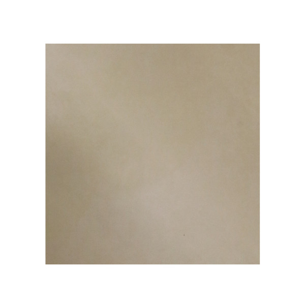 Carrelage sol 60x60cm B06GRDIL-IVO.M0X0R