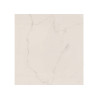 Carrelage sol 60X60cm ARTENS INTENSO CALA POLI RECT   |Sanifer